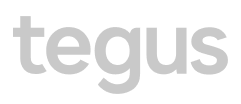 67dd45c2aedc9fb70b7bf33b_tegus logo (2)